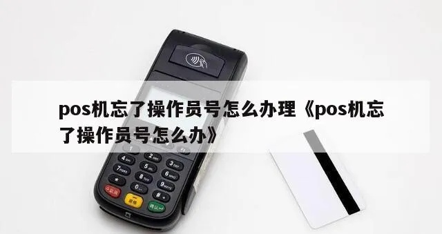 pos机号忘了怎么办（忘记POS机号怎么找回）