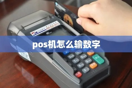 POS机数字修改方法,POS机数字修改步骤详解 POS机数字修改方法,POS机数字修改步骤详解