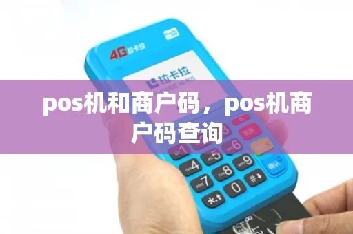 扫码POS机查商户流程详解,扫码POS机商户查询操作步骤 扫码POS机查商户流程详解,扫码POS机商户查询操作步骤