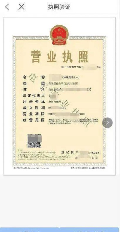 POS机营业执照办理流程详解，快速获取POS机使用权