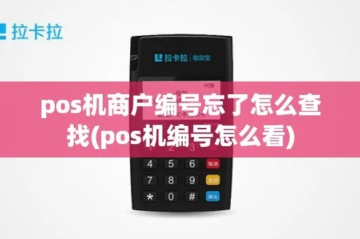 怎么查pos机商户编号(pos机商户编号查询方法) 怎么查pos机商户编号(pos机商户编号查询方法)