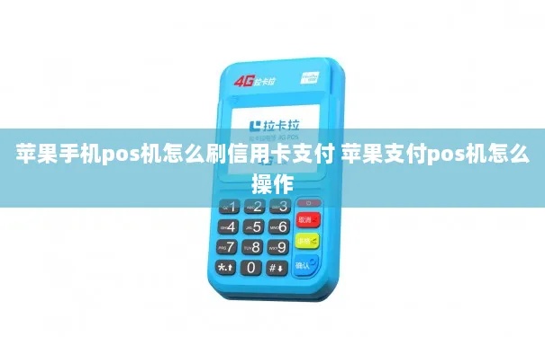 苹果POS机刷卡步骤详解,苹果POS机刷卡常见问题解决方案 苹果POS机刷卡步骤详解,苹果POS机刷卡常见问题解决方案