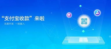 pos机花呗支付教程,如何在pos机上使用花呗支付 pos机花呗支付教程,如何在pos机上使用花呗支付