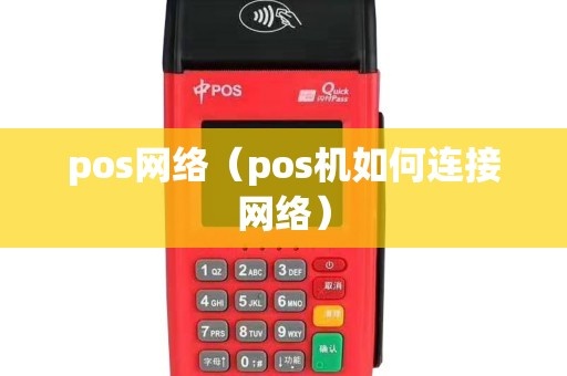 POS机网络连接方法详解，POS机网络接入步骤指南
