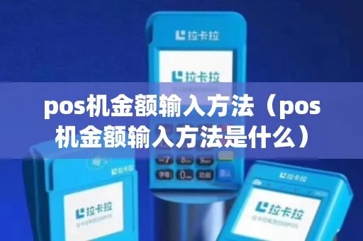 POS机金额输入方法详解,POS机金额输入步骤说明 POS机金额输入方法详解,POS机金额输入步骤说明