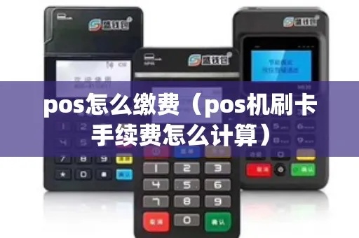 月票在pos机怎么缴费（详细指导月票缴费流程）