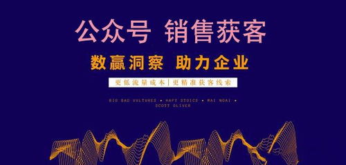 POS机售卖渠道有哪些,POS机销售技巧指南 POS机售卖渠道有哪些,POS机销售技巧指南