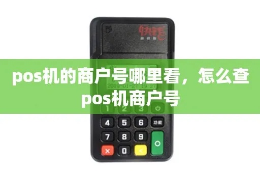 POS机商户号查询方法详解，POS机商户号查询渠道汇总