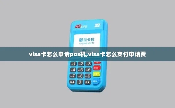 POS机如何开通VISA支付功能,POS机VISA支付开通步骤详解 POS机如何开通VISA支付功能,POS机VISA支付开通步骤详解