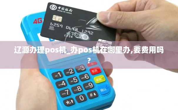 辽源POS机申请流程详解,辽源POS机申请条件及办理步骤 辽源POS机申请流程详解,辽源POS机申请条件及办理步骤