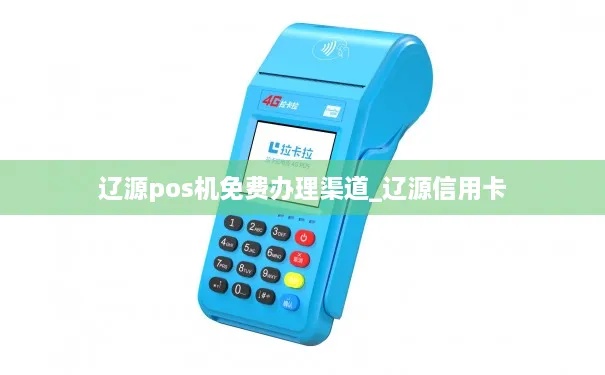 辽源POS机申请流程详解,辽源POS机申请条件及办理步骤 辽源POS机申请流程详解,辽源POS机申请条件及办理步骤