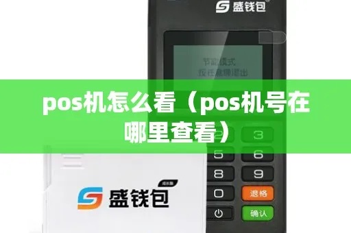 POS机信息怎么查(快速查询POS机相关资讯方法) POS机信息怎么查(快速查询POS机相关资讯方法)