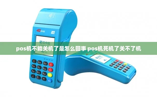 pos机死机怎么处理（解决pos机故障的方法）