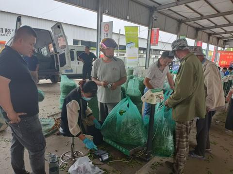 POS机单价怎么算（POS机价格计算方法详解）