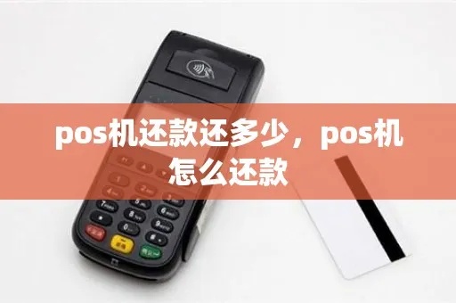 贷款如何通过POS机还款,贷款POS机使用方法详解 贷款如何通过POS机还款,贷款POS机使用方法详解