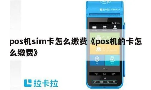 POS机SIM卡如何充值,POS机SIM卡充值教程 POS机SIM卡如何充值,POS机SIM卡充值教程