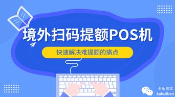 POS机如何关闭自选功能,POS机自选关闭教程 POS机如何关闭自选功能,POS机自选关闭教程