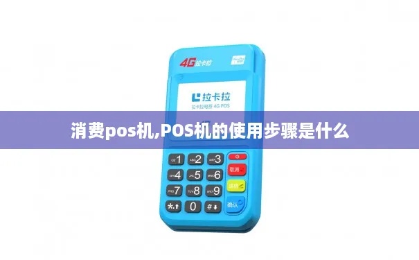 pos机如何消费使用(详解POS机的操作步骤) pos机如何消费使用(详解POS机的操作步骤)
