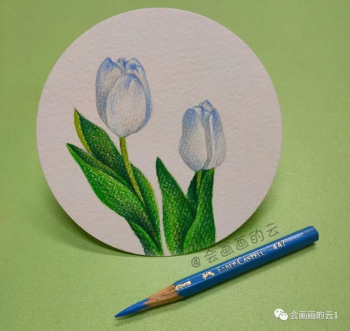 魔方pos机如何使用（详细操作步骤及注意事项）