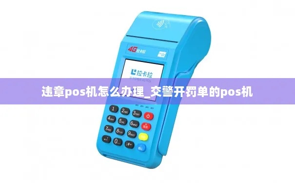 POS机违章处理流程详解，POS机如何申请处理违章