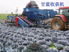 POS机如何获取流量(提高POS机使用率的方法) POS机如何获取流量(提高POS机使用率的方法)