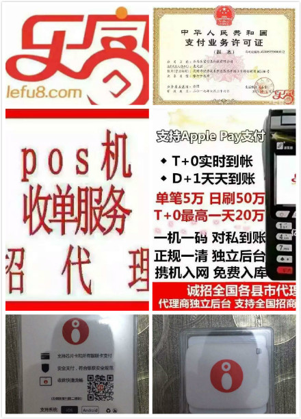 如何查询宁夏pos机（宁夏地区pos机品牌查询方法）