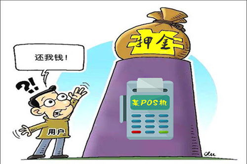 办了pos机被骗怎么处理（pos机被骗后的解决方案）