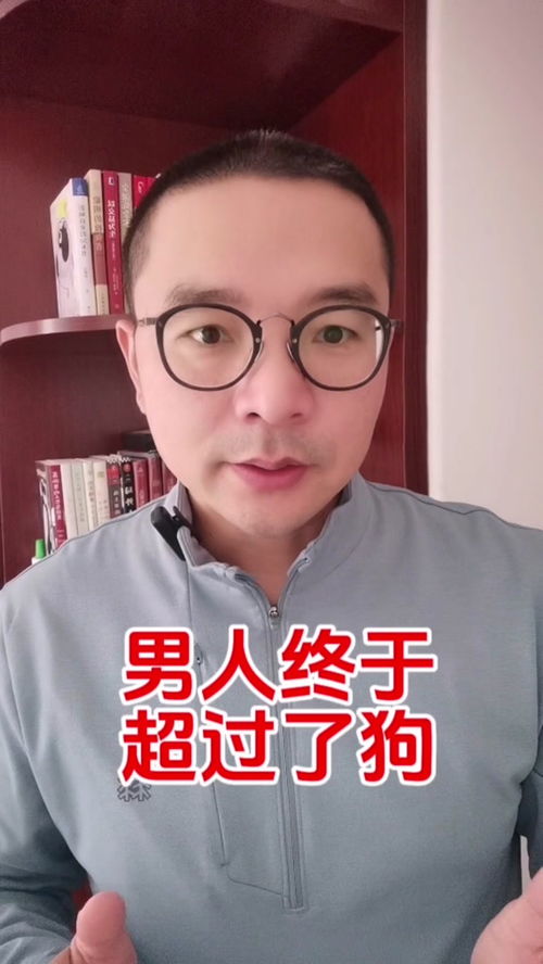 pos机怎么调大字（简易操作教程）