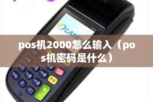 POS机2000怎么输入（使用指南）