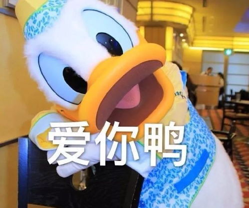 地产之王pos机怎么用（地产行业pos机操作指南）