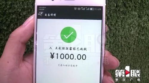 POS机刷卡怎么购买(POS机购买指南) POS机刷卡怎么购买(POS机购买指南)