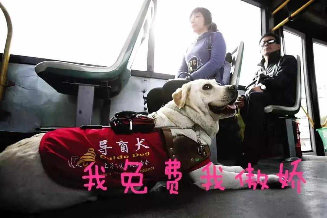 西安兴业银行POS机申请流程与注意事项 西安兴业银行POS机申请流程与注意事项