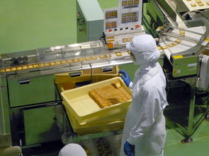 光大银行对公户办理POS机全攻略，流程、要点与案例详解