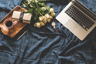 分期乐购物额度提现商家全解析,高清图片、使用技巧与避坑指南 分期乐购物额度提现商家全解析,高清图片、使用技巧与避坑指南