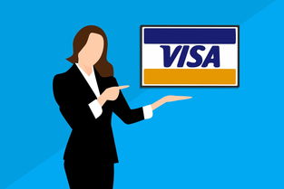 桃多多桃享卡额度攻略,套现技巧+更新时间+避坑指南 桃多多桃享卡额度攻略,套现技巧+更新时间+避坑指南