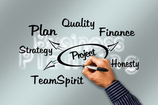 分期乐购物额度提现全攻略，商家合作+征信避坑指南