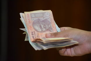 分期乐消费额度提现与金币奖励全攻略，如何高效利用你的资金？