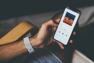 支付宝免费申请POS机是否可靠？